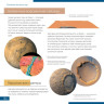 Телескоп LEVENHUK DISCOVERY SPARK 114 EQ с книгой 78738
